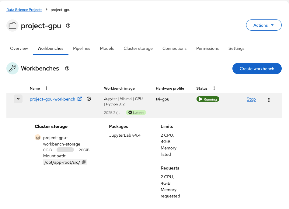 project-gpu